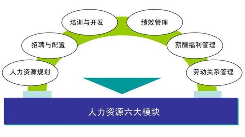 餐饮外卖代运营：揭秘加盟背后的成功秘诀**