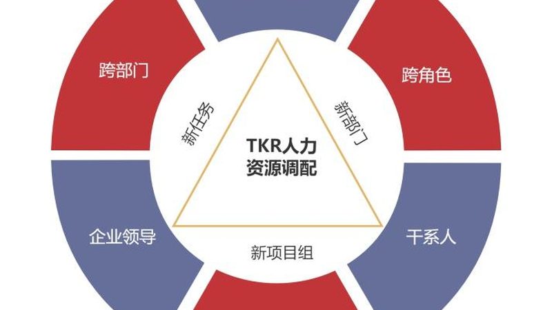 劳务公司：双重角色下的优劣势解析**